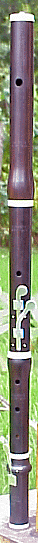 Rottenburgh flute with special keys